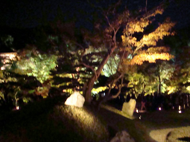 a0046339_18411793.jpg