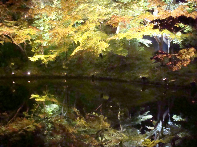 a0046339_1842360.jpg