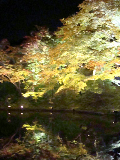a0046339_18432049.jpg