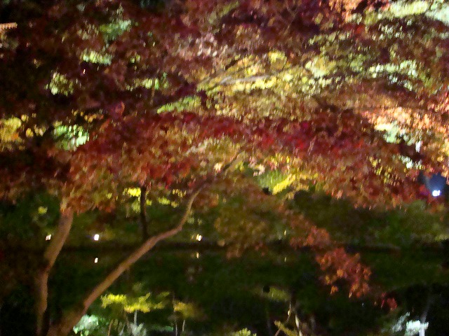 a0046339_18442043.jpg