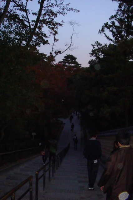 a0046339_1871327.jpg
