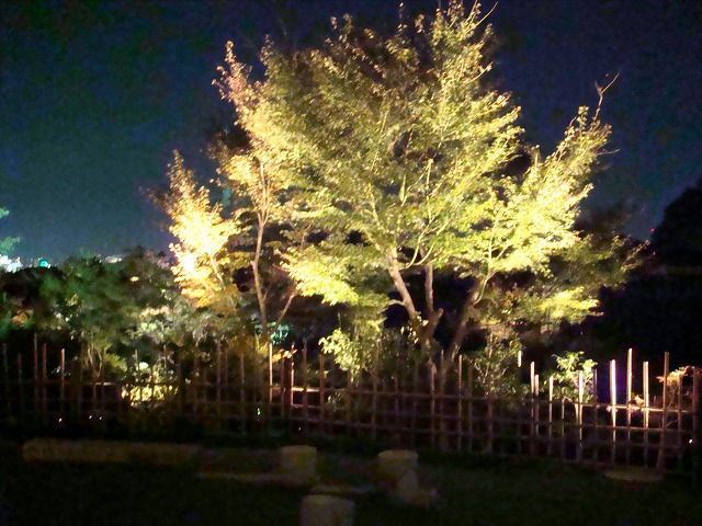 a0046339_1885380.jpg