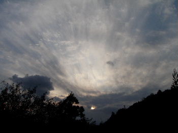 a0054240_1743849.jpg