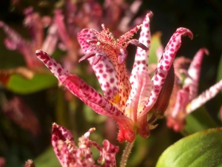 c0025140_1921481.jpg