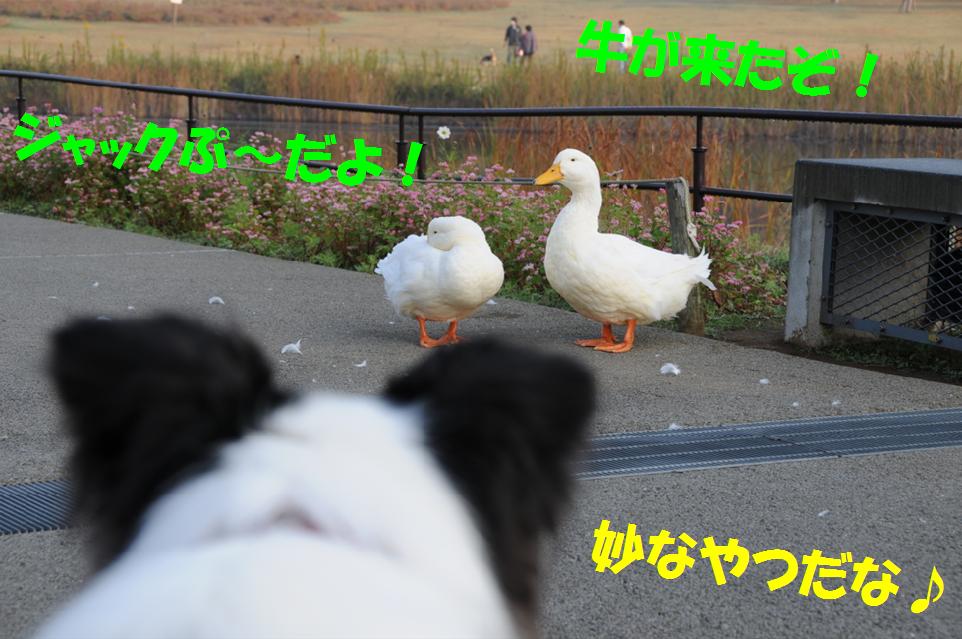 c0147241_22314252.jpg