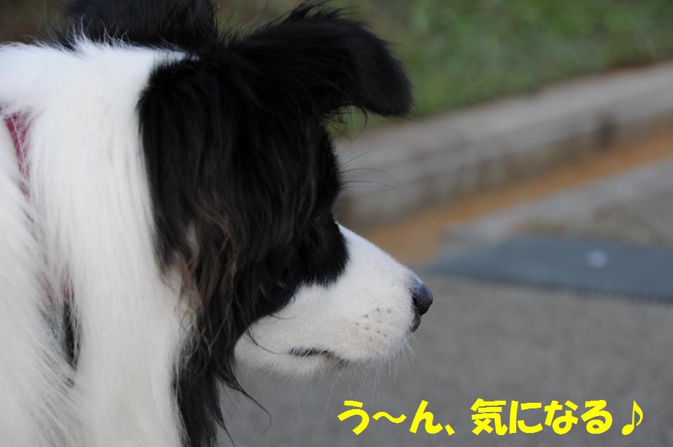 c0147241_22315076.jpg