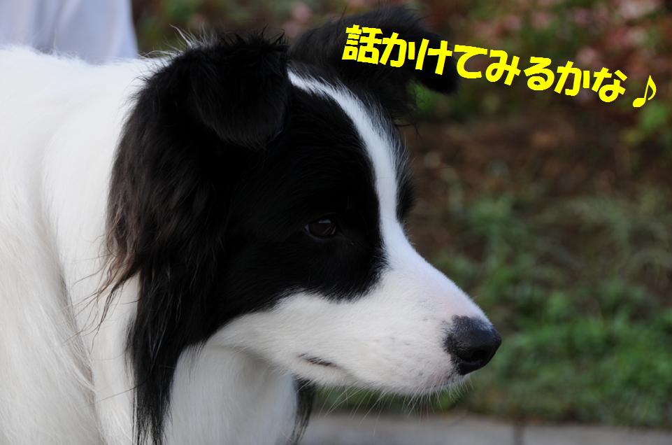 c0147241_22315639.jpg
