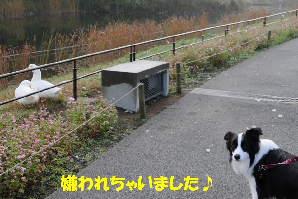 c0147241_2232362.jpg