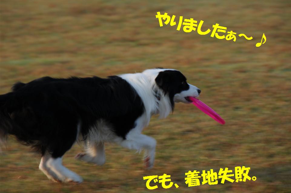 c0147241_22372445.jpg