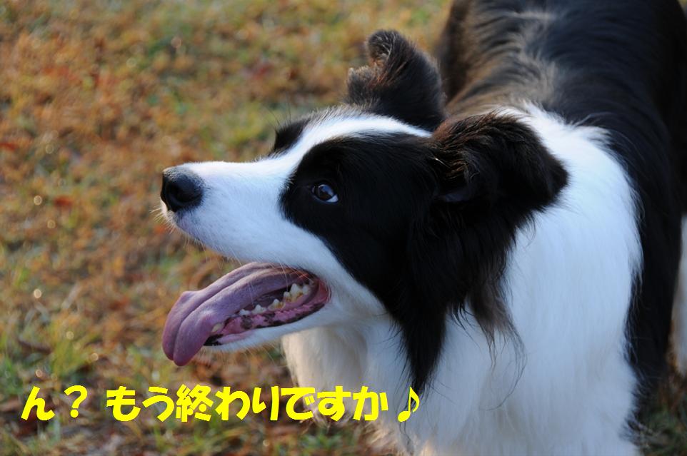 c0147241_2239182.jpg