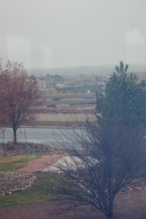 e0104941_32042.jpg