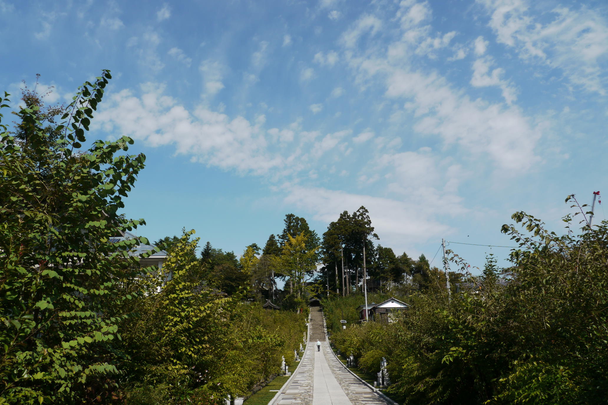 b0190242_231150100.jpg