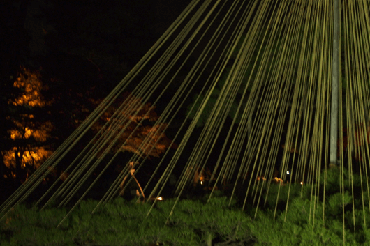 c0093046_6585017.gif