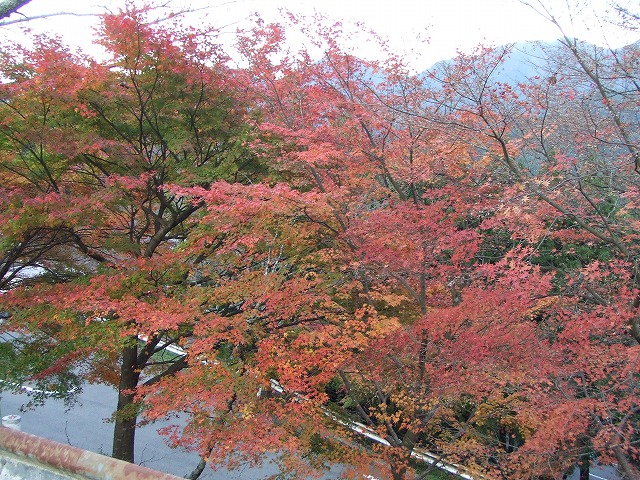 f0068649_23145181.jpg