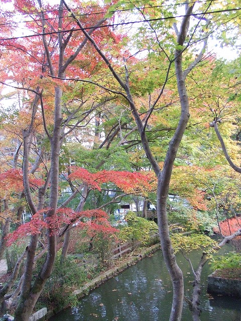 f0068649_23384368.jpg