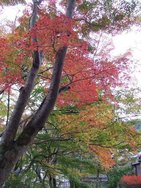 f0068649_2348668.jpg