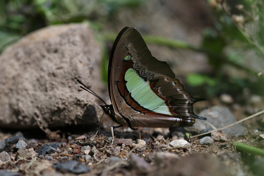 a0094850_1823423.jpg