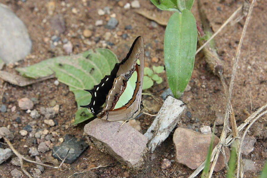 a0094850_18242298.jpg