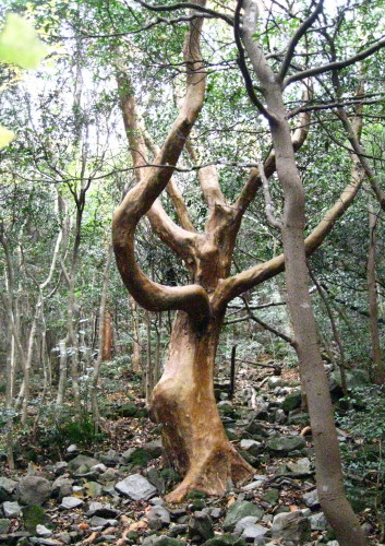 c0179351_19233344.jpg