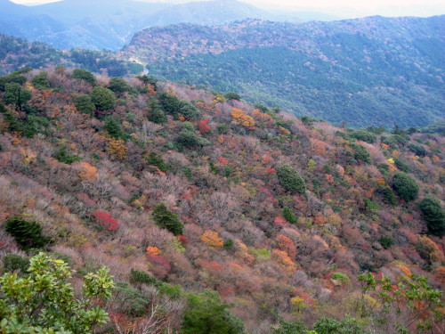 c0179351_19272366.jpg