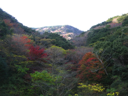 c0179351_1937968.jpg