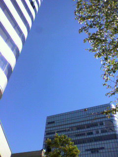 c0208355_12335256.jpg