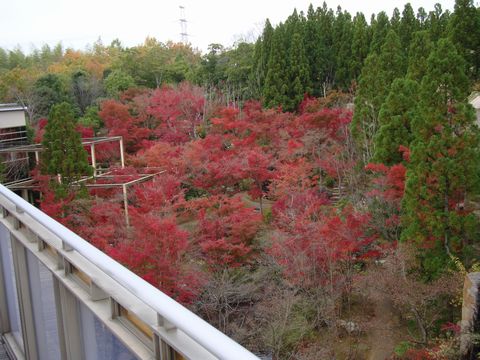 e0083155_17101992.jpg