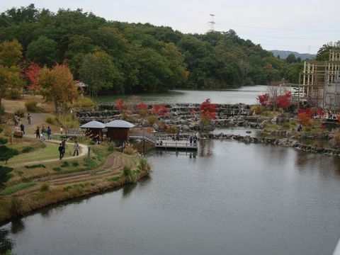e0083155_1710753.jpg