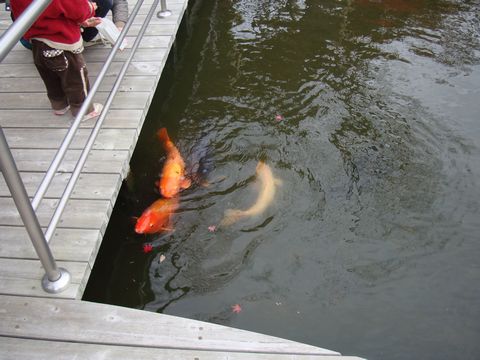 e0083155_1713683.jpg