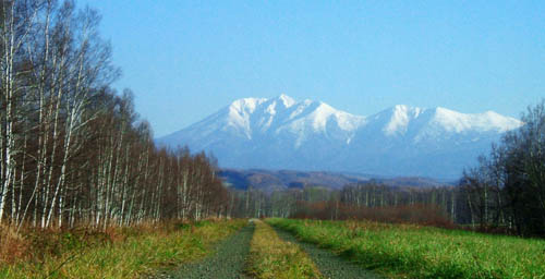 c0097856_1549415.jpg