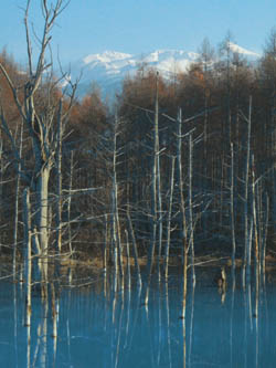 c0097856_16242677.jpg