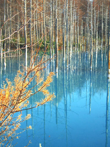 c0097856_16403257.jpg