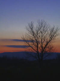 c0097856_16561517.jpg