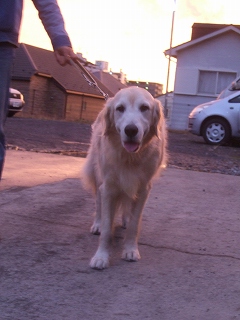 c0097558_17594485.jpg