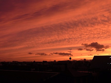 f0048860_5265141.jpg