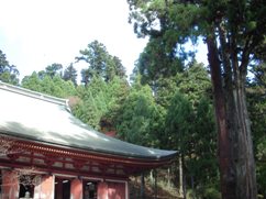 f0036962_811542.jpg