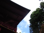f0036962_82354.jpg