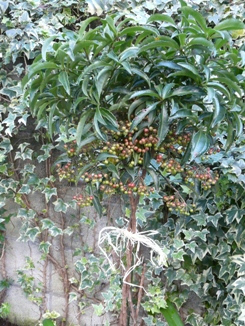 f0195963_16474783.jpg