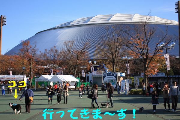 a0100564_2195885.jpg