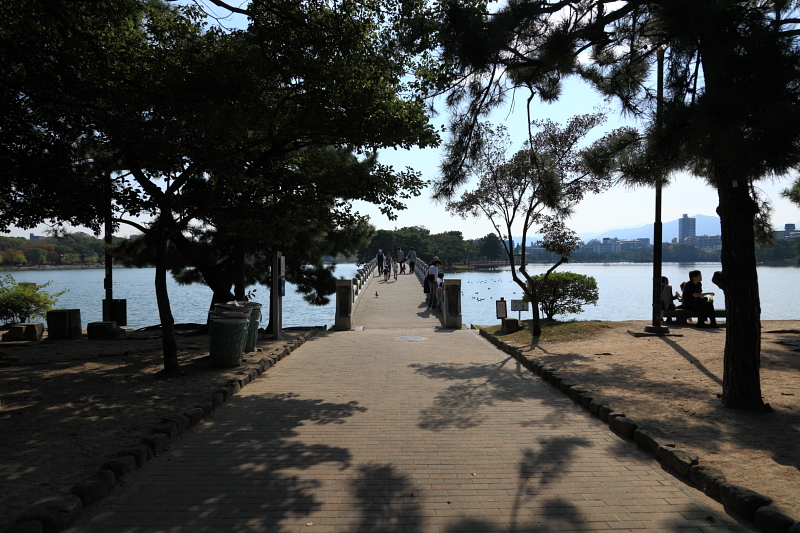 b0027267_2345529.jpg