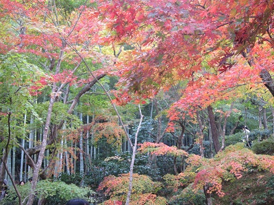 c0224470_21451563.jpg