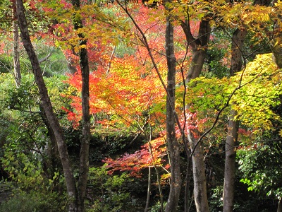 c0224470_21453116.jpg