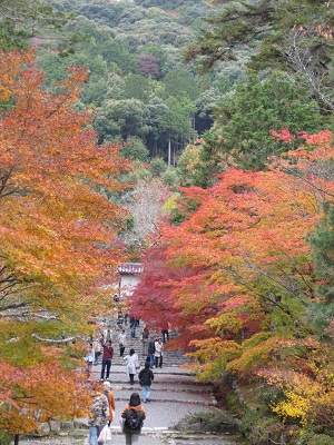 c0224470_2155364.jpg