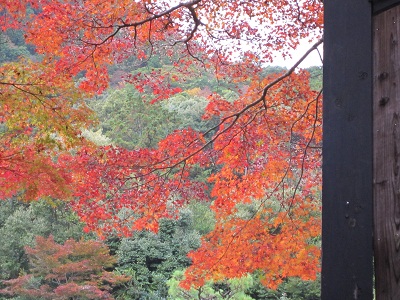 c0224470_21555799.jpg