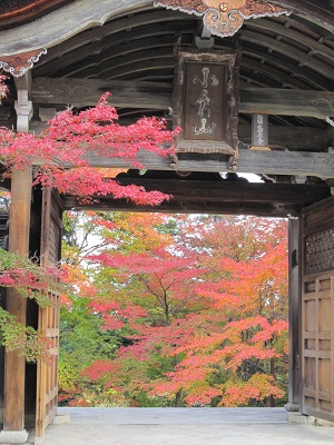c0224470_21564093.jpg