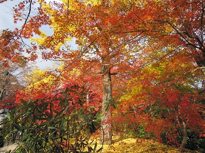 c0224470_2213265.jpg
