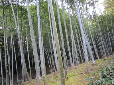 c0224470_22255.jpg