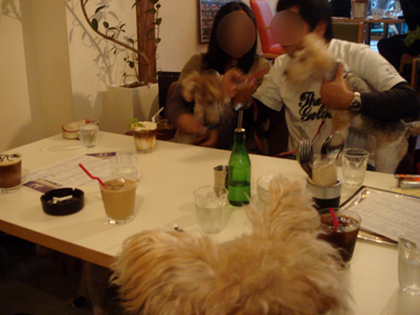 b0091373_120136.jpg