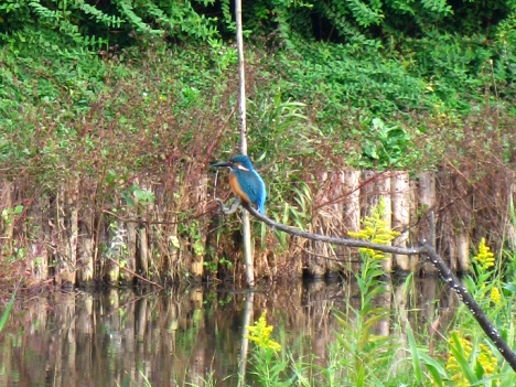 f0175875_2129197.jpg