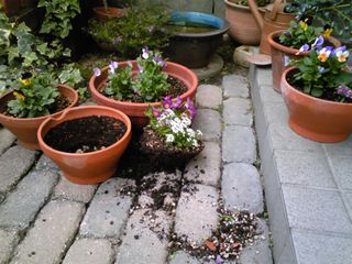 e0012580_2034493.jpg